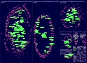 Vision API brazilian