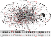 (korona OR covid) lang:fi Twitter NodeXL SNA Map and Report for perjantai, 12 kesäkuuta 2020 at 15.4