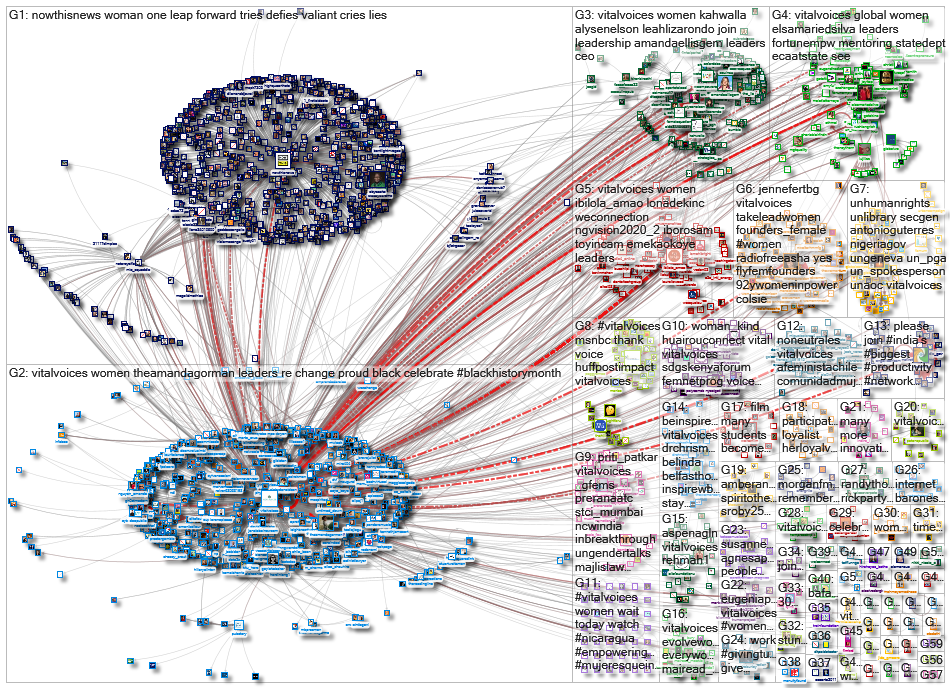 vitalvoices_2021-02-11_22-22-03.xlsx