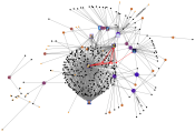 1st network analysis