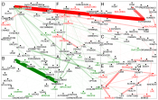 NodeXLGraph - Unique Words - Yes and No Final Version CAPS 2.xlsx